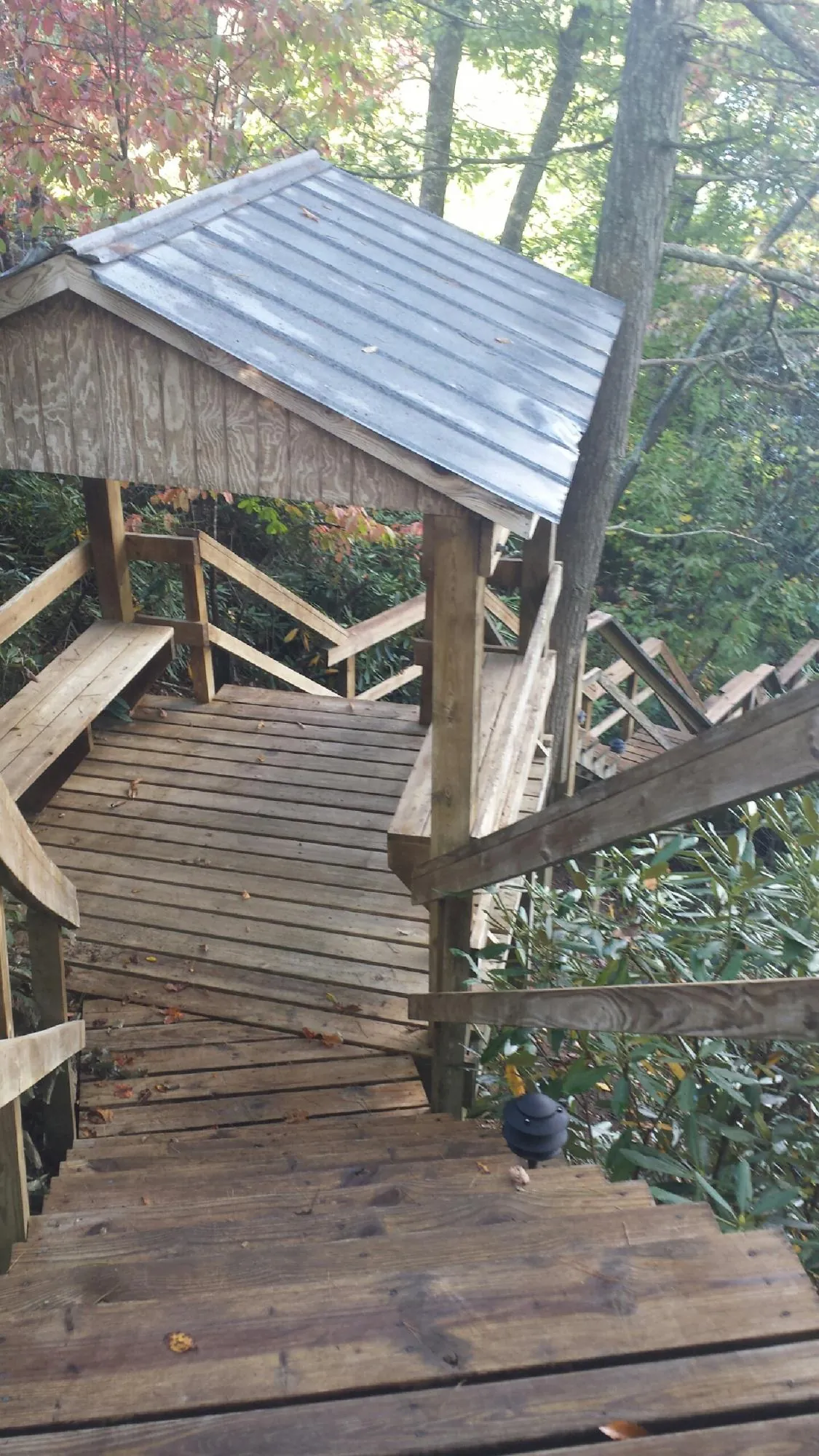 Metal roofed shelter over wooden steps on a wooded walkway — Skylight Repair & Installation work by our crew in Port Ludlow