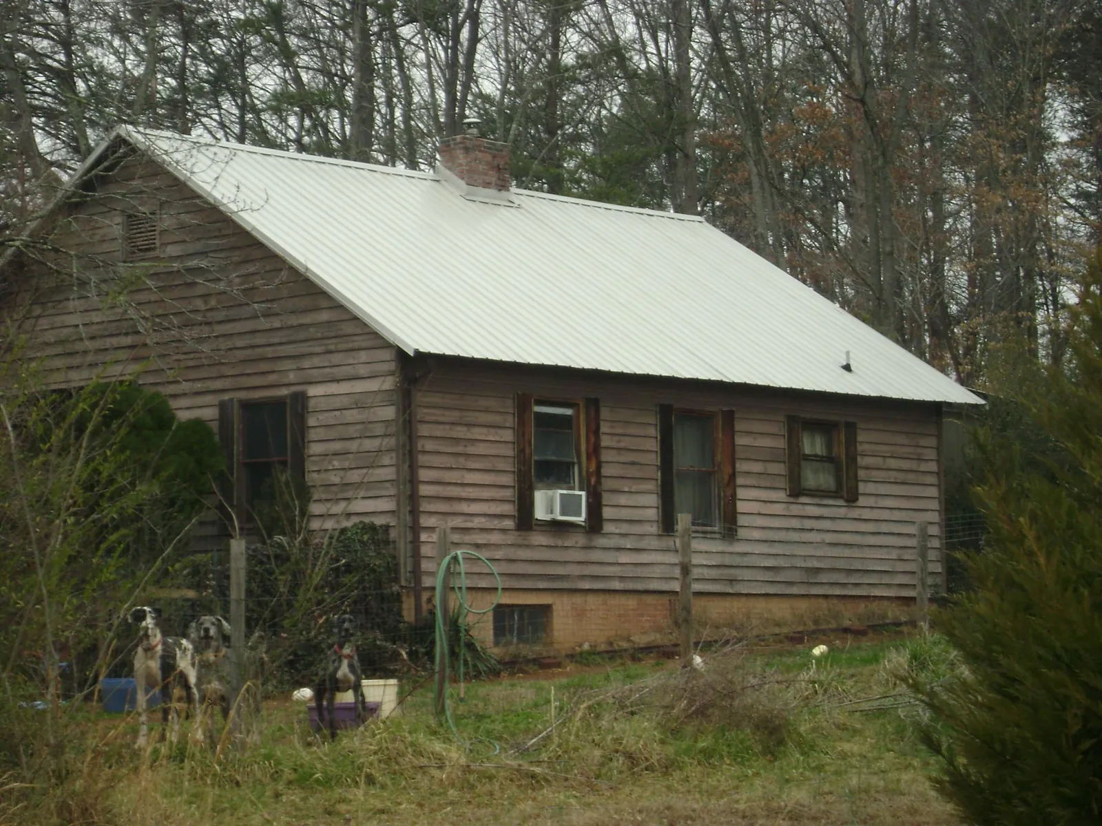 White metal roof on an old wood sided farmhouse, from a Metal Roof Installation job in Port Ludlow